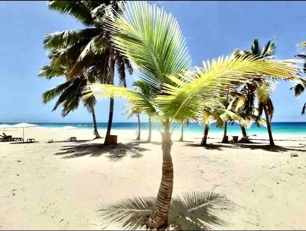 Cana Rock Chic Golf De Lux Punta Cana
